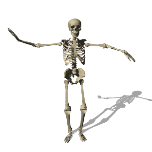 skeletondancing